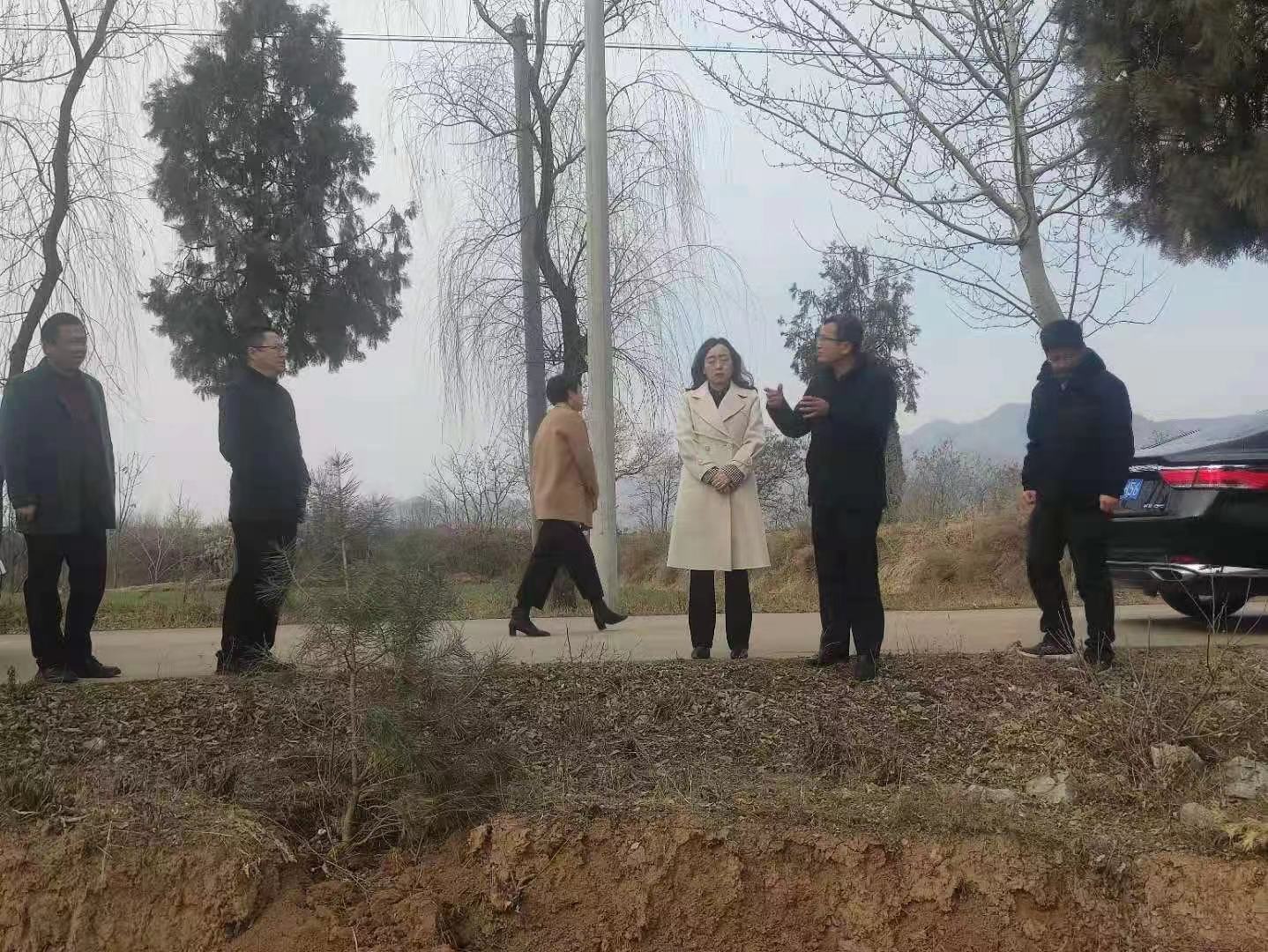 231645605164595316.jpeg 2.jpg