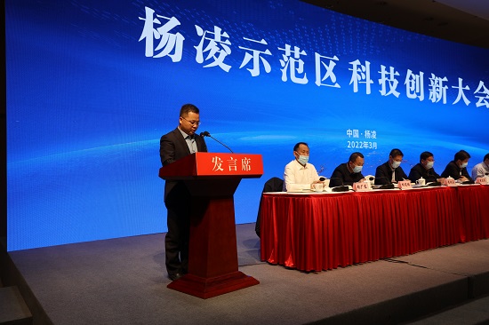 071646643595115177.jpeg d.jpg