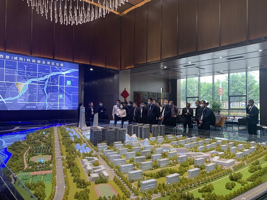 121652342332187558.jpeg 0.jpg