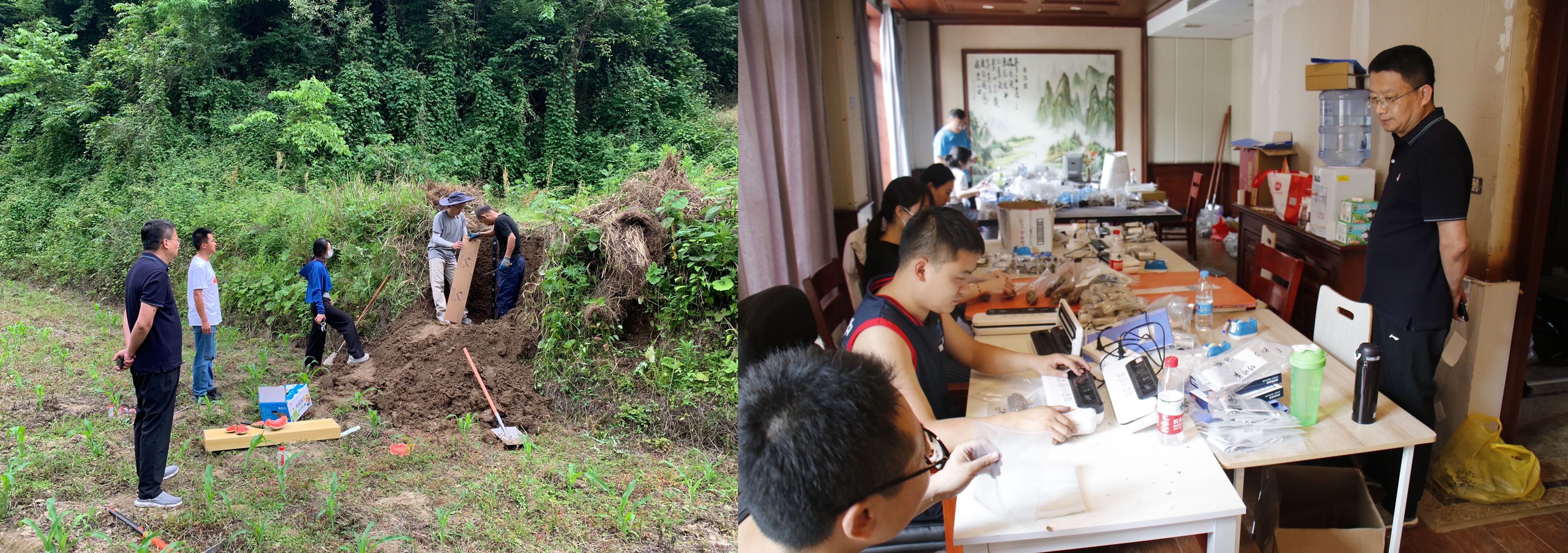 051654419023117971.jpeg 3A8B7DA8-2084-452D-A641-4231008F041F.jpeg