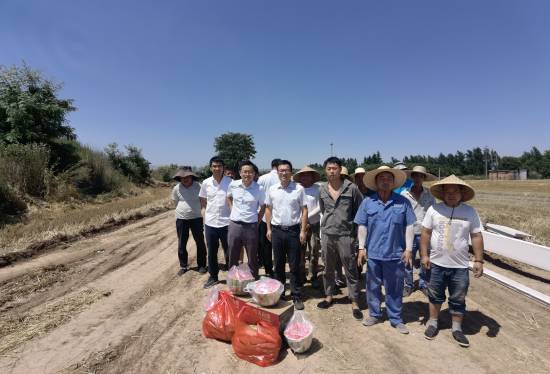 161655365335749622.jpeg dd.jpg