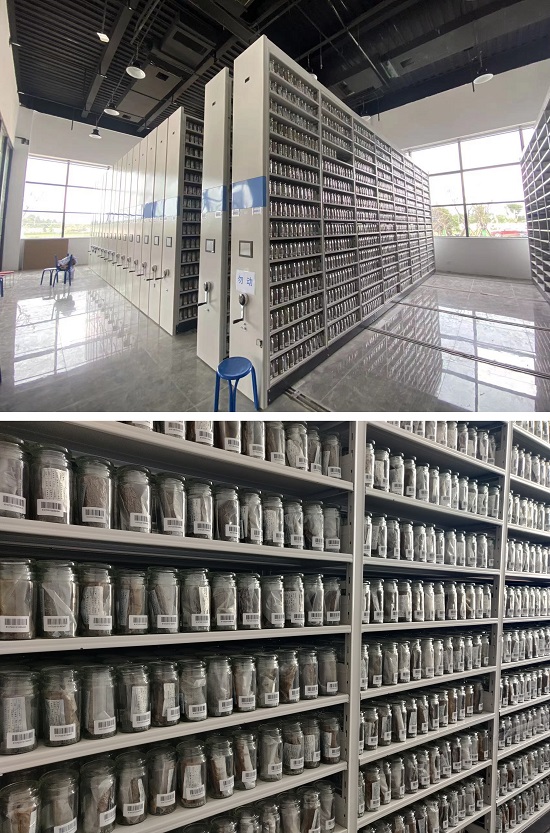 171655459006214257.jpeg 0003.jpg