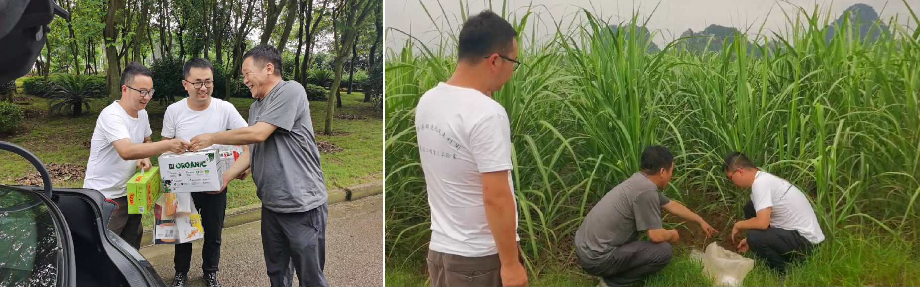 231655976495135621.png 0.png