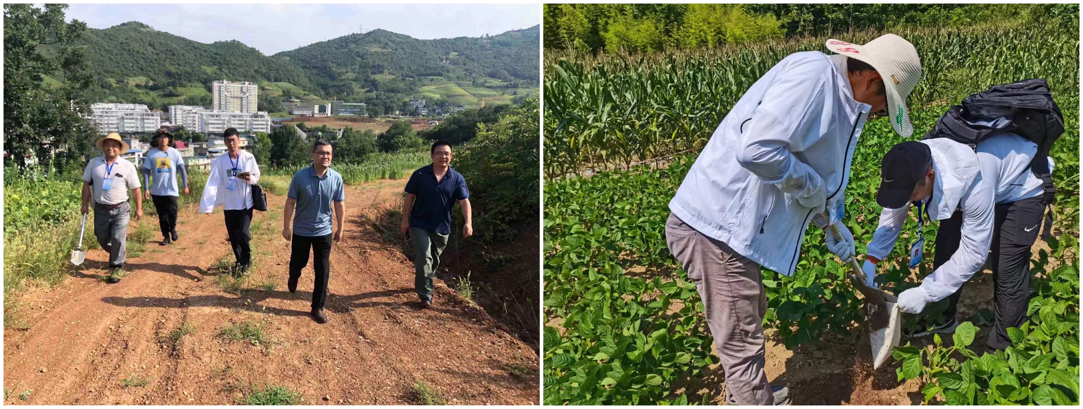 121660286450212379.jpeg IMG_3946(20220812-144022).JPG