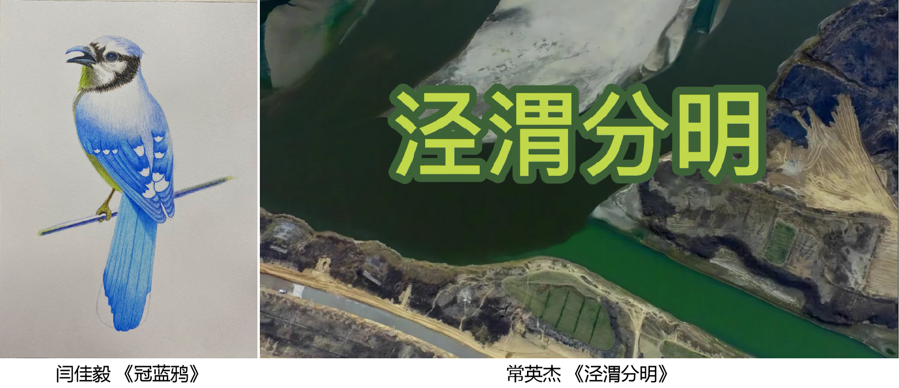 261661505922144206.png 00.png