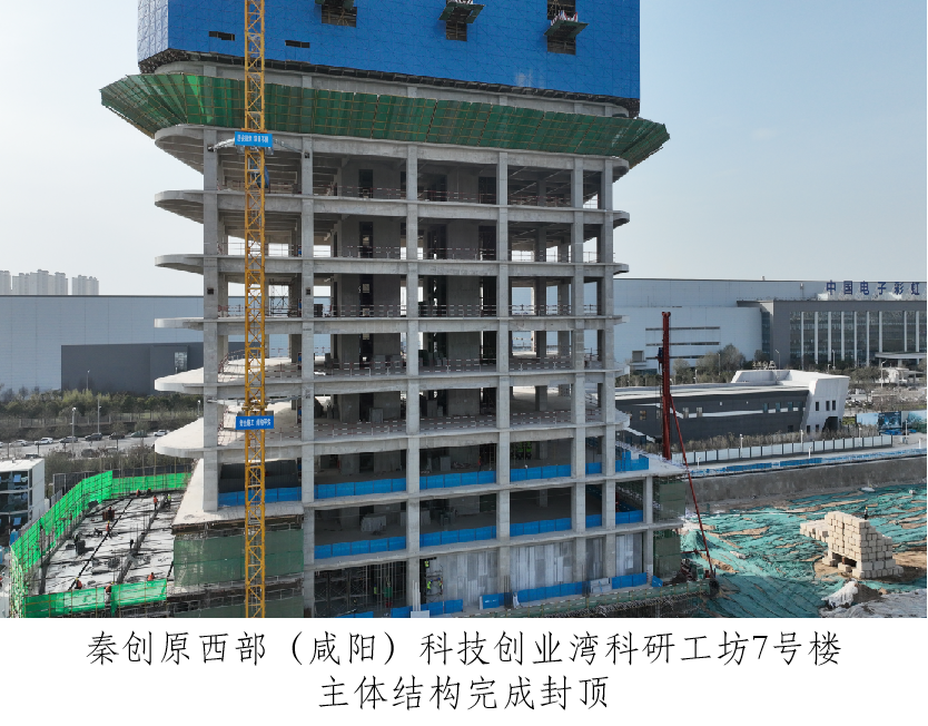 261672056589133342.png 圖片7.png