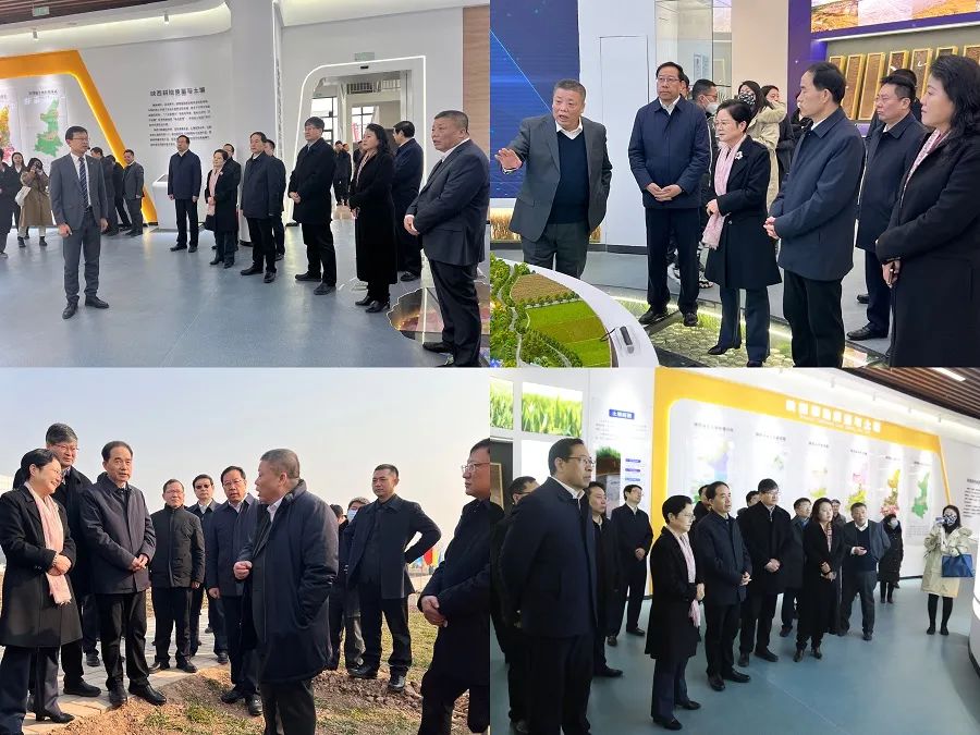 071675729795152773.jpg 5.jpg