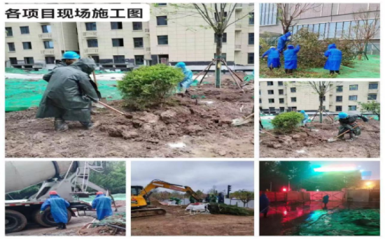 231682225448979079.png 550.png