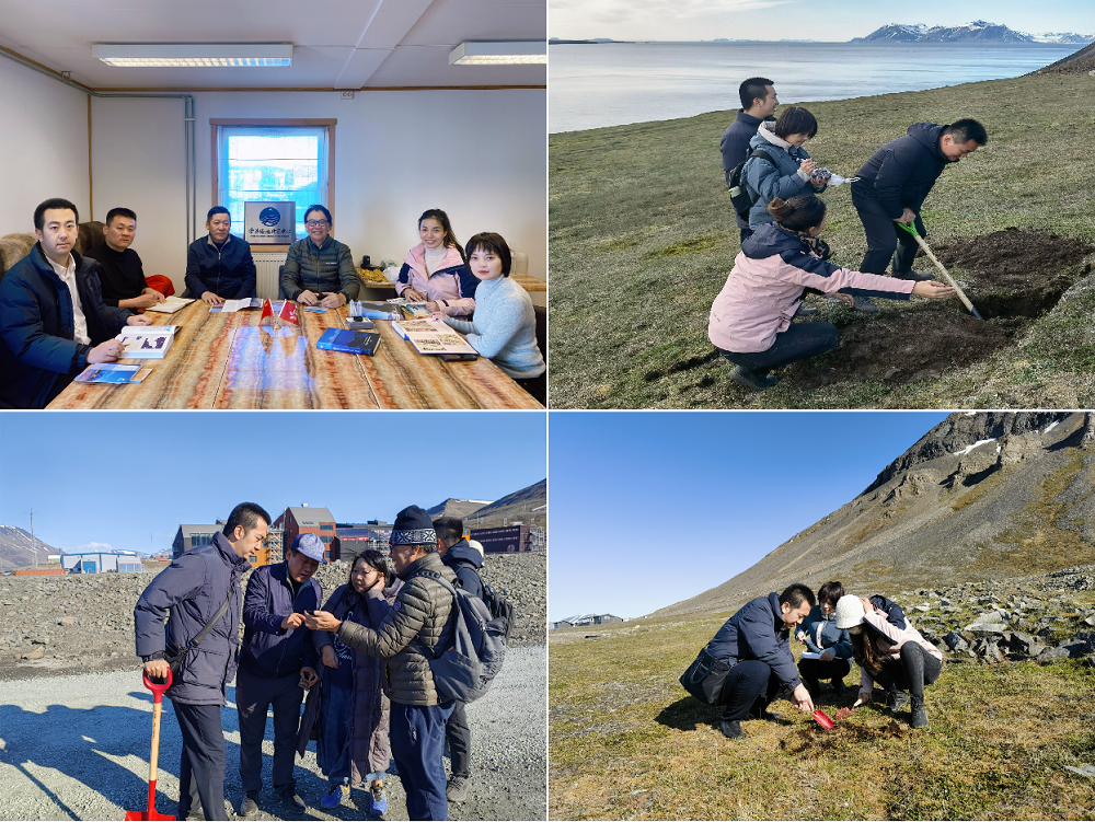 111689070870169525.png 7111.png