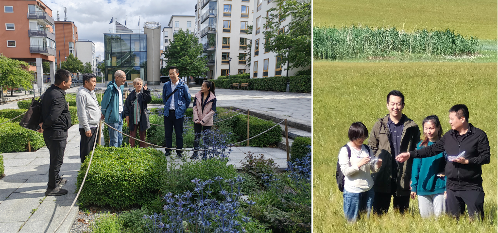 111689070925726294.png 7112.png