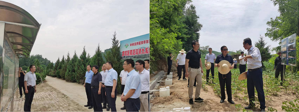 131689242028101615.png 713.png