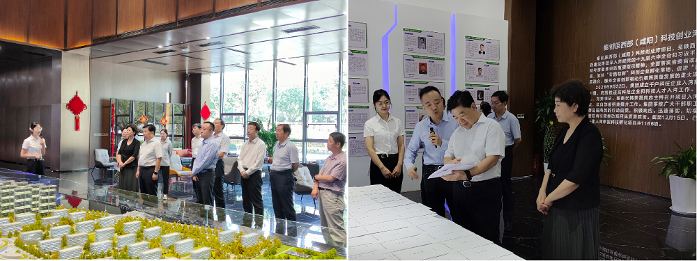 061693989217203948.png 0906.png