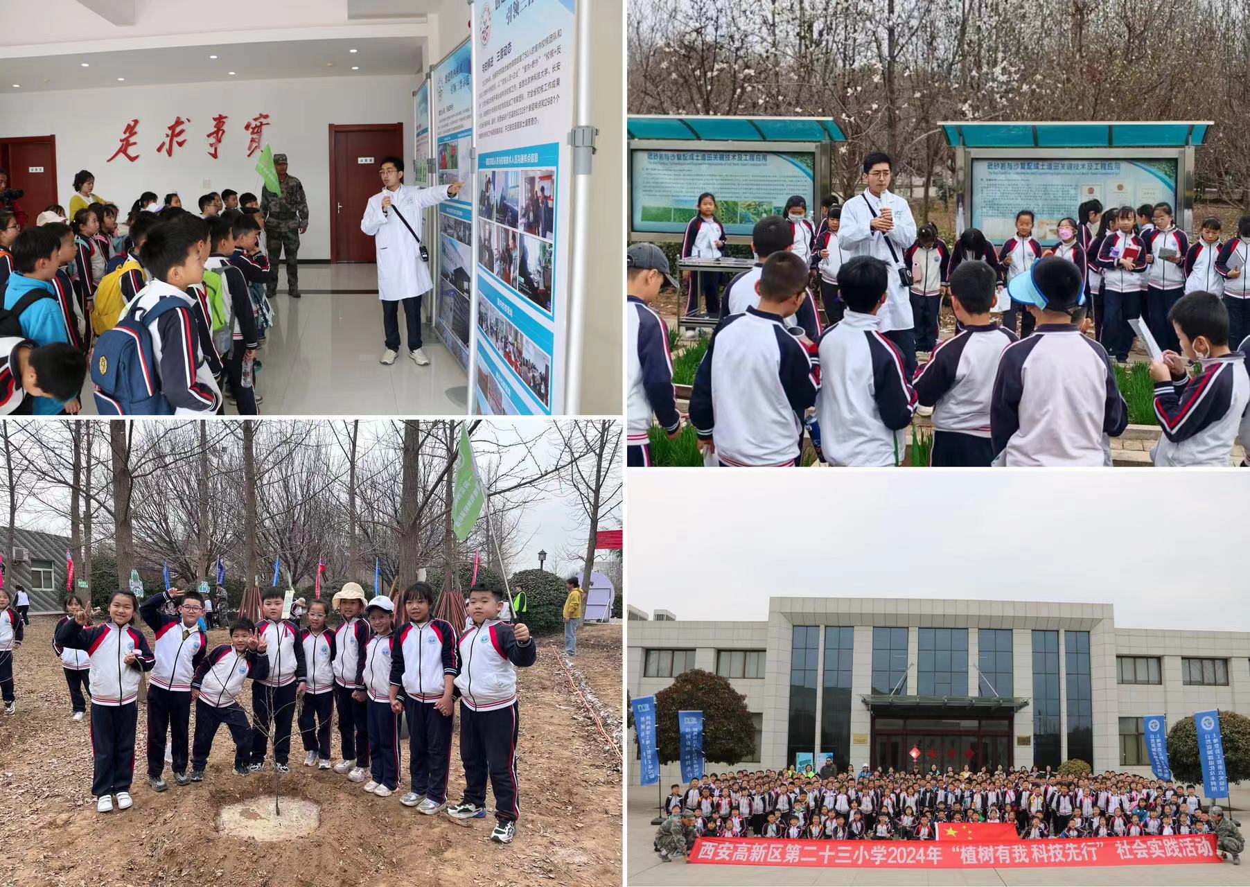 161710570255168810.jpeg 8d417852d05a26aa39198b3137353719.jpeg