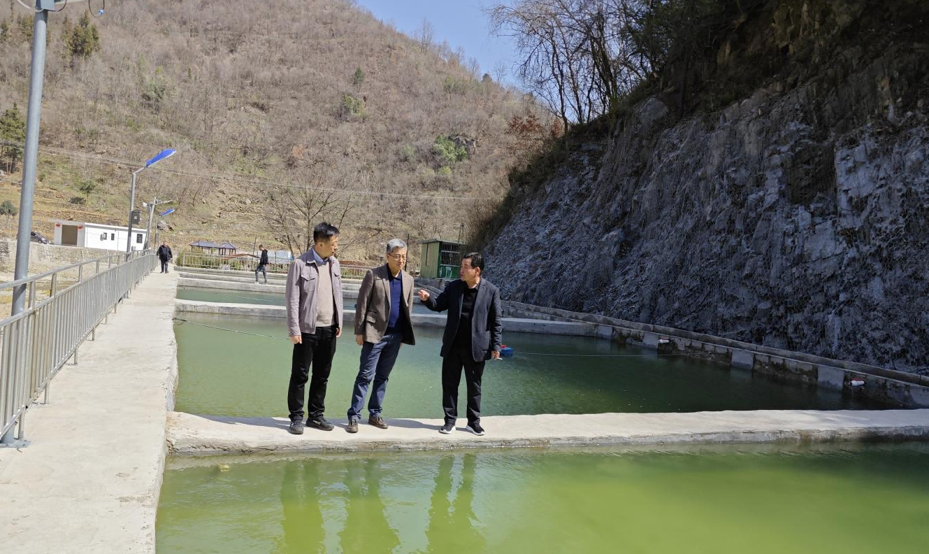 221711087717117931.png 新聞圖(1).png