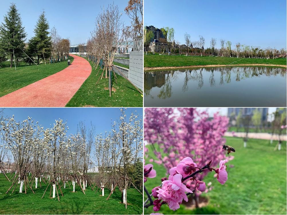 281711617567255775.png 圖片3.png